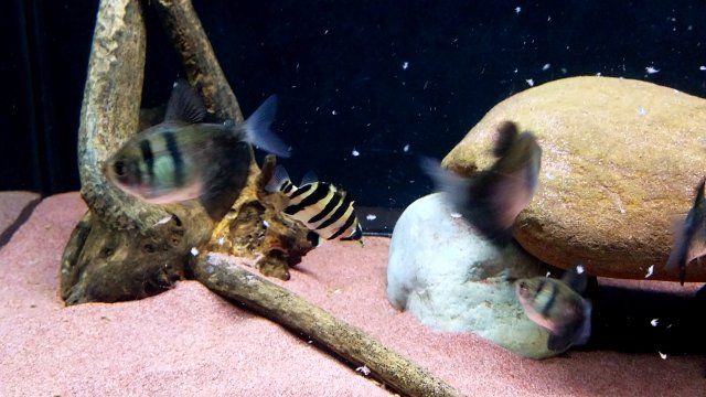 20190413_085751.jpg