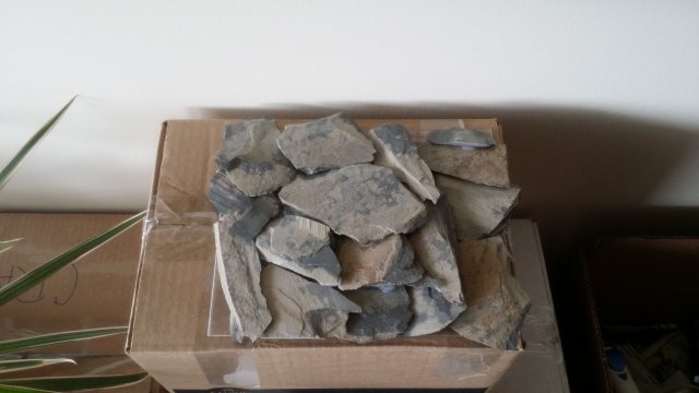 20190413_162114.jpg
