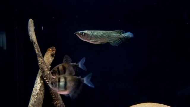 20190413_084542.jpg