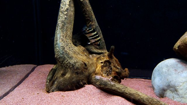 20190413_085901.jpg
