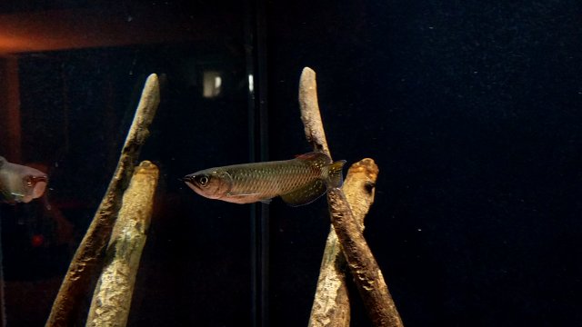 20190413_143748.jpg