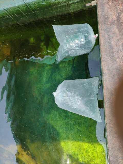 IMG_20190414_103338.jpg