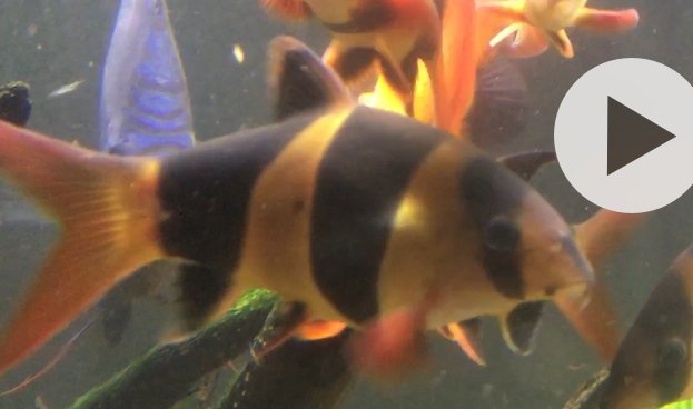 11D6FF53-38F8-4D65-87D3-A37EF761A5B6.jpeg 11D6FF53-38F8-4D65-87D3-A37EF761A5B6.jpeg