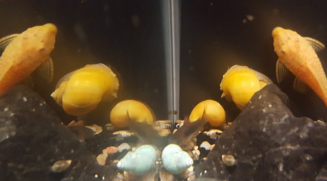 20190310_225816.jpg 20190310_225816.jpg