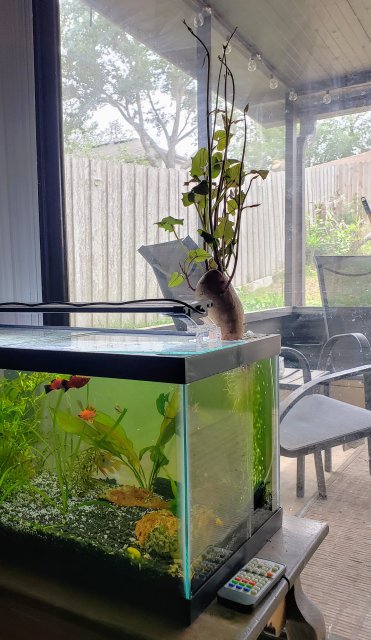 20190414_143130.jpg 20190414_143130.jpg