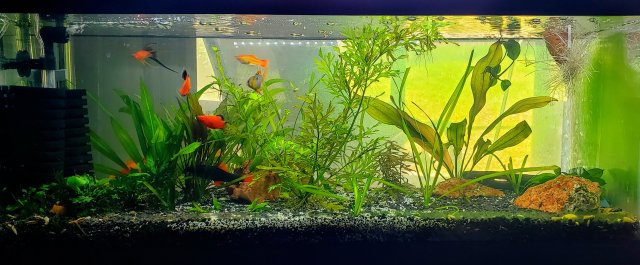 20190413_151722.jpg 20190413_151722.jpg