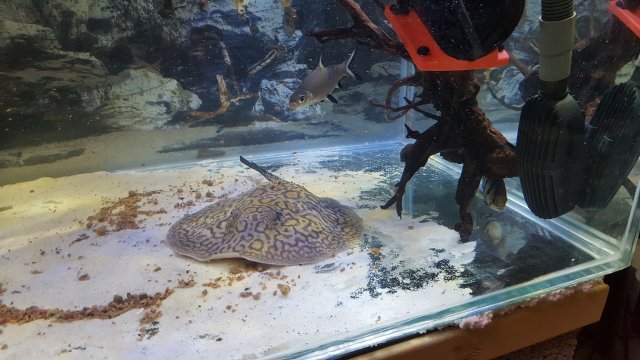 20181104_170328.jpg 20181104_170328.jpg