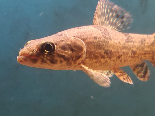 20190417_201347.jpg