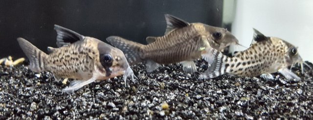 20180319_182056.jpg