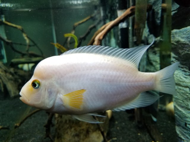 20190414_125923.jpg