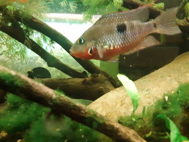 20190419_232426.jpg