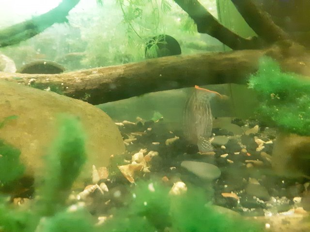 20190419_235104.jpg