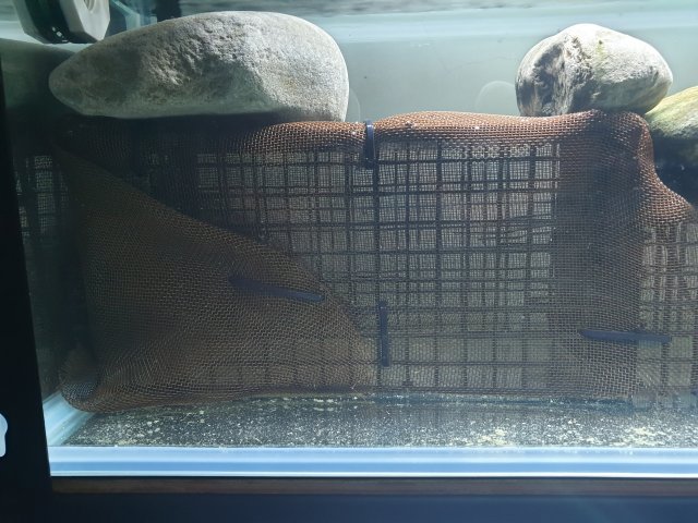 20190404_150527.jpg 20190404_150527.jpg