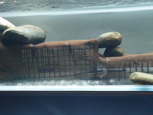 20190404_150531.jpg 20190404_150531.jpg