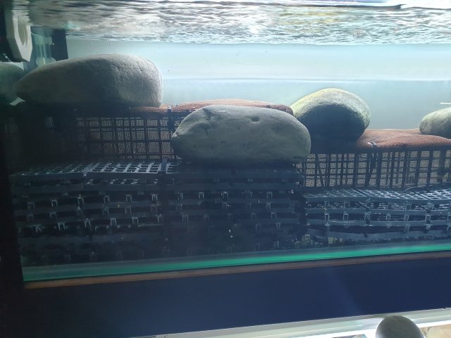 20190404_154500.jpg 20190404_154500.jpg