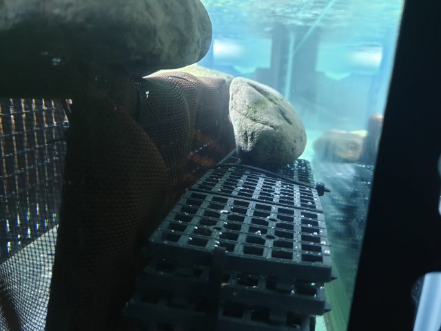 20190404_154505.jpg 20190404_154505.jpg