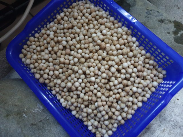 20190404_154510.jpg 20190404_154510.jpg