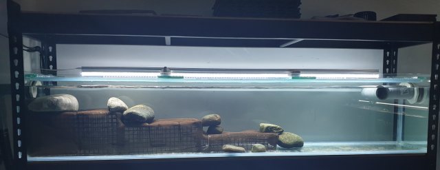 Rapids Tank Structure.jpg Rapids Tank Structure.jpg