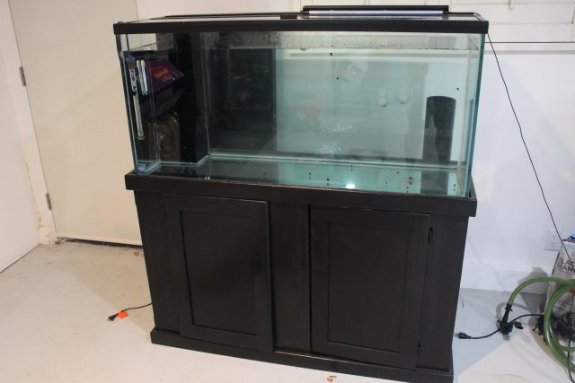 IMG_0142.jpg IMG_0142.jpg