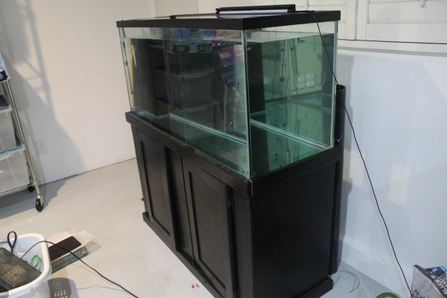 IMG_0143.jpg IMG_0143.jpg