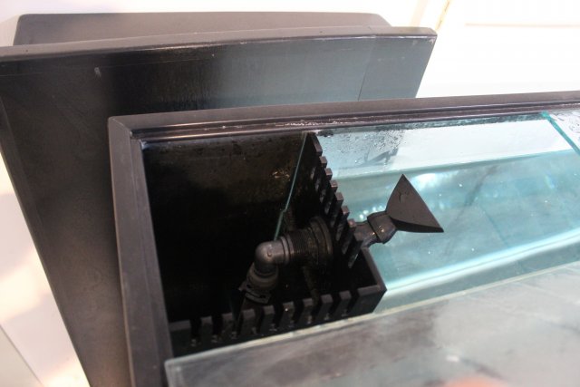 IMG_0144.jpg IMG_0144.jpg