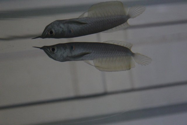 IMG_0147.jpg IMG_0147.jpg