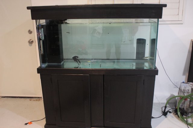 IMG_0148.jpg IMG_0148.jpg