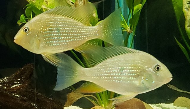 20190424_212519.jpg