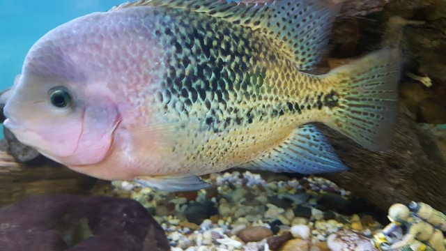 20190425_153344.jpg 20190425_153344.jpg
