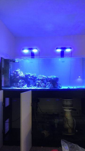 079187A4-D6FB-43DD-8141-5D30F3A183FE.jpeg 079187A4-D6FB-43DD-8141-5D30F3A183FE.jpeg