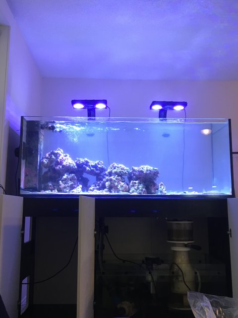 43E76A0D-D104-484A-95F2-2E964570E554.jpeg 43E76A0D-D104-484A-95F2-2E964570E554.jpeg