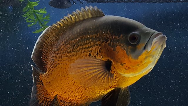 20180620_065611.jpg
