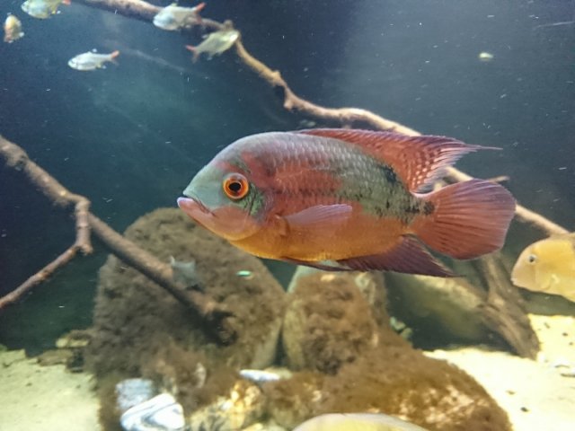 DSC_0363.JPG