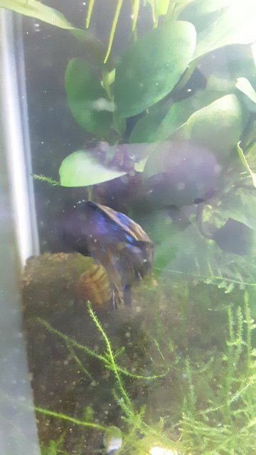 20190429_121302.jpg 20190429_121302.jpg