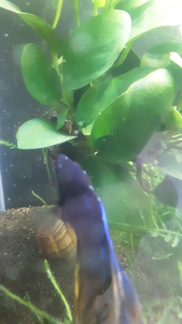 20190429_121257.jpg 20190429_121257.jpg