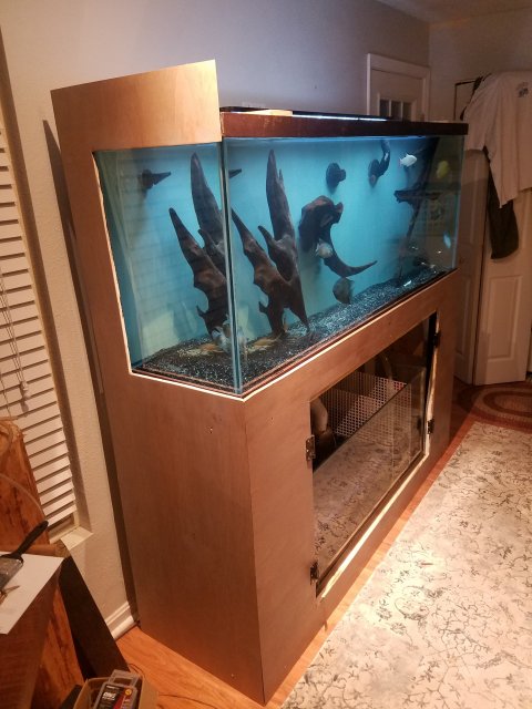 20190429_204353.jpg