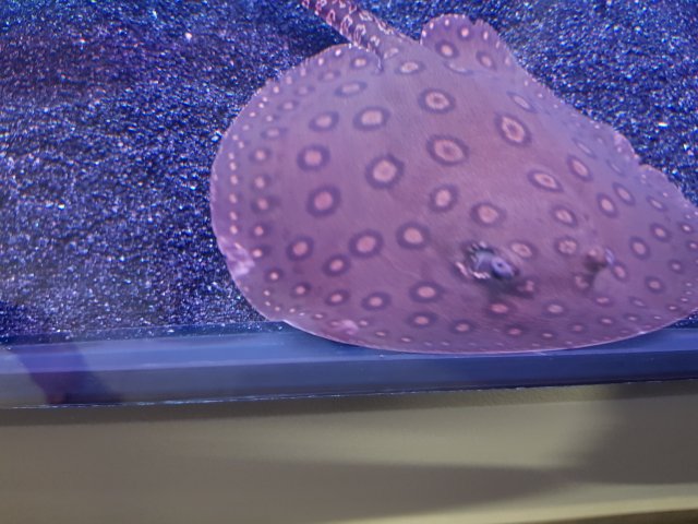 20190430_174918.jpg