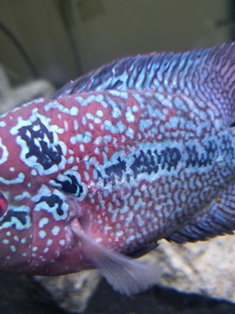 20190430_123156.jpg