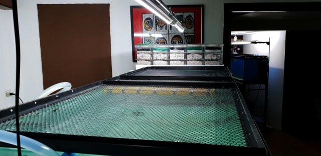 1371098