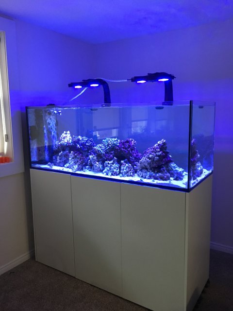 B5B75BFB-D5E7-4DA7-8C78-8C499245E98E.jpeg B5B75BFB-D5E7-4DA7-8C78-8C499245E98E.jpeg