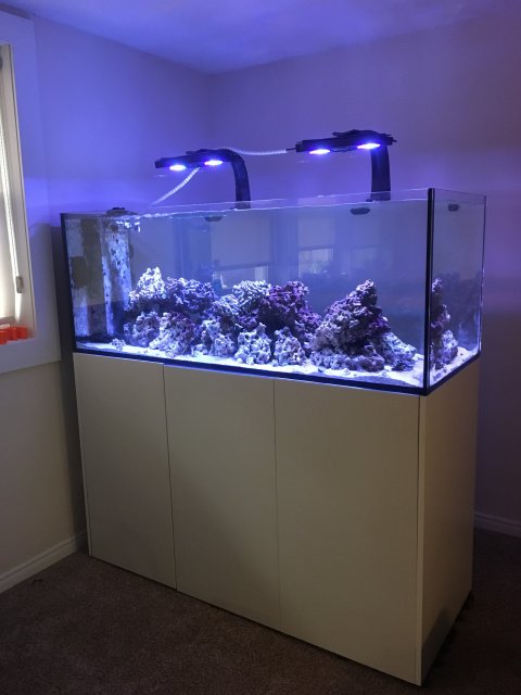 CF67C17B-7AEC-4C9E-B718-C3AC591C1149.jpeg CF67C17B-7AEC-4C9E-B718-C3AC591C1149.jpeg