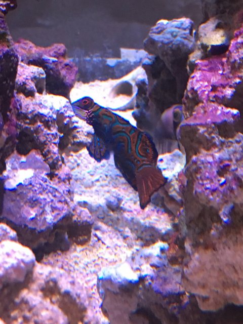 102E4194-04BD-4064-8CF1-D739693D0C57.jpeg 102E4194-04BD-4064-8CF1-D739693D0C57.jpeg