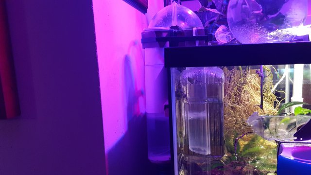 20190430_182614.jpg
