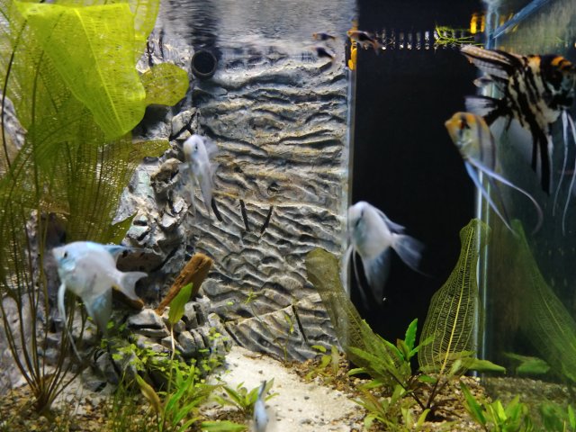 20190501_184554_HDR.jpg
