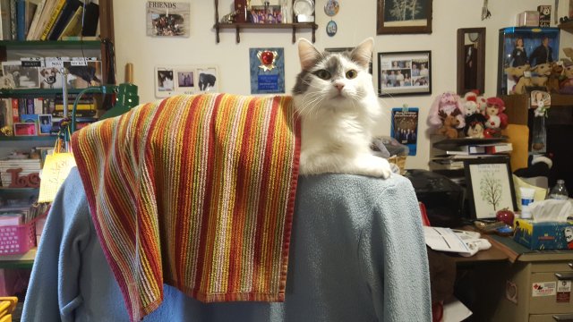 20190306_080822.jpg
