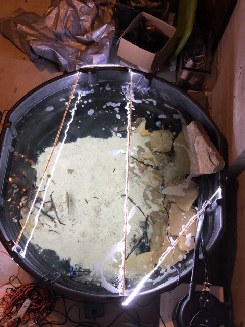 F22DC8AE-BE80-4465-B1F4-3263AABE3BD1.jpeg F22DC8AE-BE80-4465-B1F4-3263AABE3BD1.jpeg