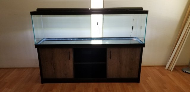 20190505_170537.jpg