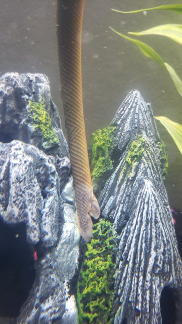 20190505_180438.jpg 20190505_180438.jpg