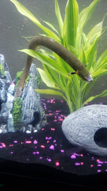 20190505_180049.jpg 20190505_180049.jpg