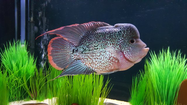 20190506_160216.jpg 20190506_160216.jpg
